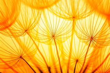 Lichtschutz durch Solarien